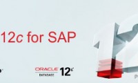 oracle-12c-sap-database-md-consulting-gmbh-erding-umkreis-umland