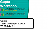 Gupta-Workshop-Opentext-Reseller-Team-Developer-td-mobile