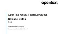 MD-Consulting-OpenText-Gupta-team-developer-version-upgrade