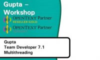 MD-Consulting-OpenText-Gupta-Workshop-Team-Developer-SQLBase-Multithreading